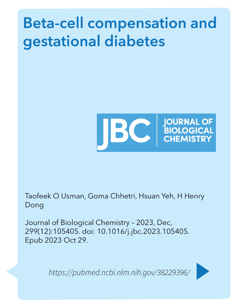 Beta-cell compensation and gestational diabetes