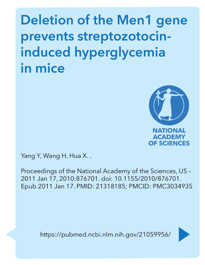 Deletion of the Men1 gene prevents streptozotocin-induced hyperglycemia in mice