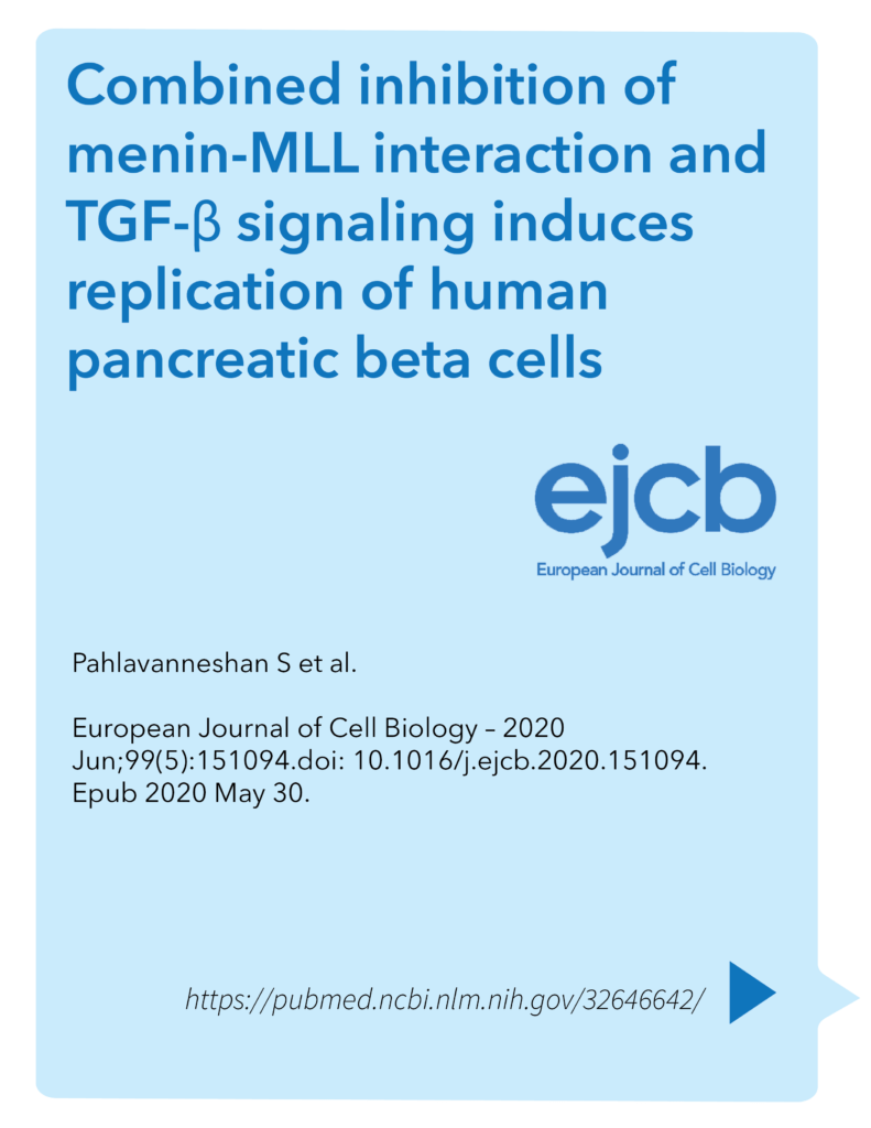 Combined inhibition of menin-MLL interaction and TGF-β signaling induces replication of human pancreatic beta cells